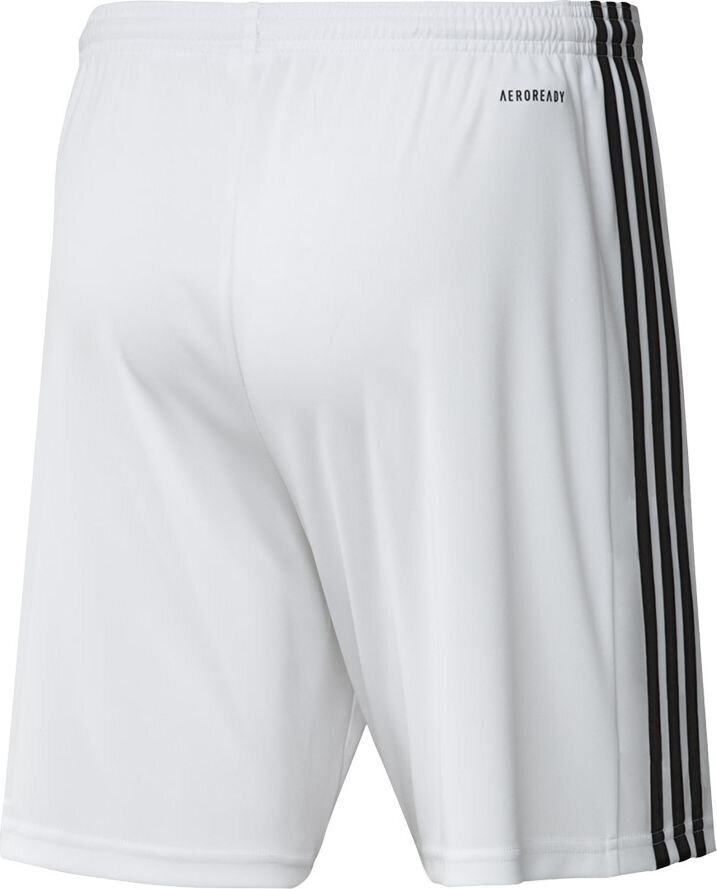 Vyriški šortai adidas Squadra 21 GN5773, balti kaina ir informacija | Futbolo apranga ir kitos prekės | pigu.lt