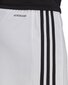 Vyriški šortai adidas Squadra 21 GN5773, balti kaina ir informacija | Futbolo apranga ir kitos prekės | pigu.lt