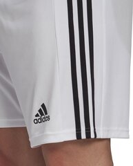 Мужские шорты Adidas Squadra 21 GN5773, белый, XS цена и информация | Футбольная форма и другие товары | pigu.lt