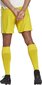 Vyriški šortai adidas Squadra 21 GN5772, geltoni, XXL kaina ir informacija | Futbolo apranga ir kitos prekės | pigu.lt