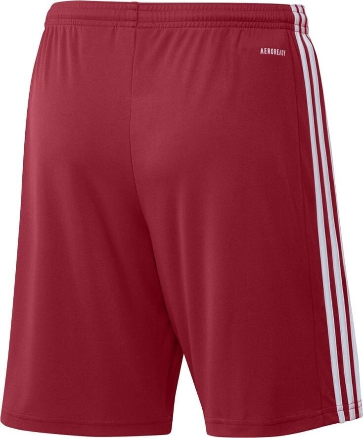 Šortai Adidas Squadra 21, raudoni цена и информация | Futbolo apranga ir kitos prekės | pigu.lt