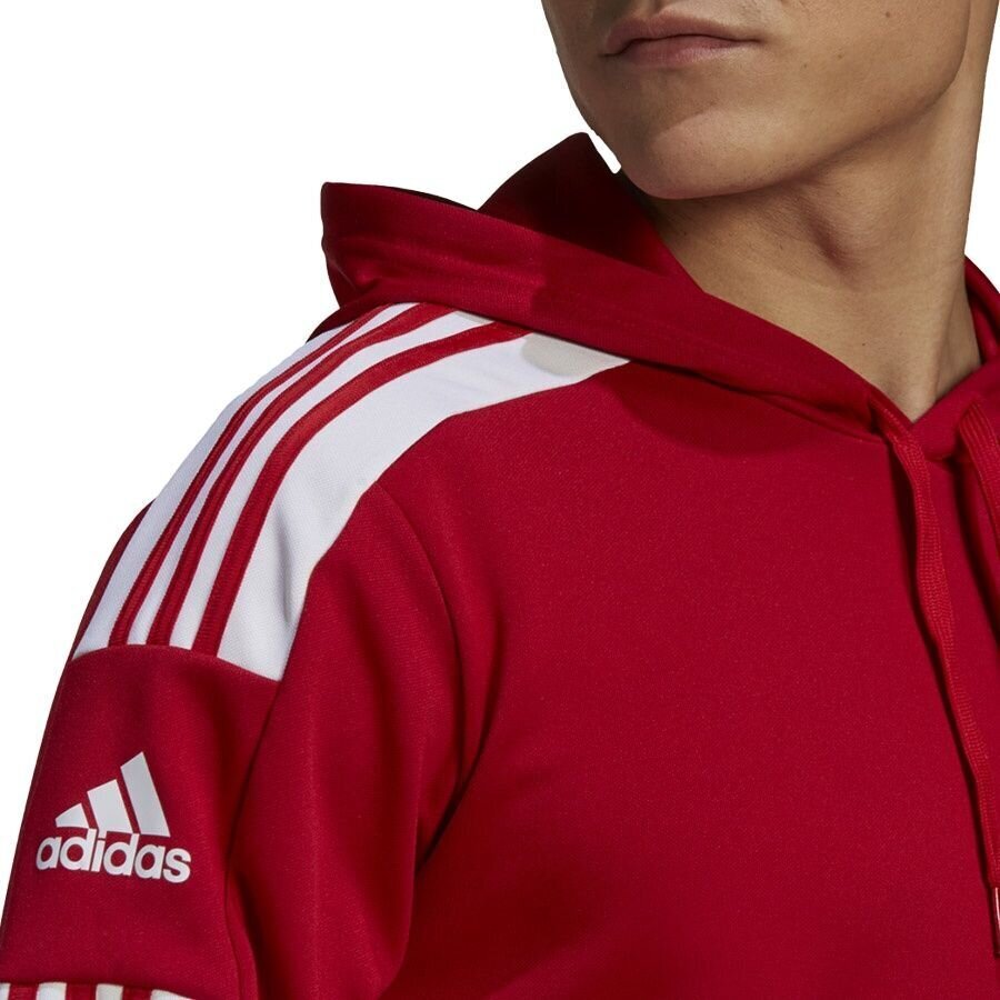 Vyriškas džemperis Adidas Squadra 21 raudonas GP6435 XL kaina ir informacija | Futbolo apranga ir kitos prekės | pigu.lt