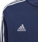 Vaikiškas džemperis Adidas Tiro 21 GK9680, tamsiai mėlynas kaina ir informacija | Megztiniai, bluzonai, švarkai berniukams | pigu.lt