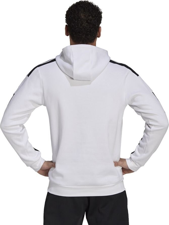 Vyriškas džemperis su gobtuvu Adidas Squadra 21 baltas GT6637 kaina ir informacija | Futbolo apranga ir kitos prekės | pigu.lt