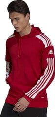 Vyriškas džemperis Adidas Squadra 21 raudonas GP6435 L kaina ir informacija | Futbolo apranga ir kitos prekės | pigu.lt