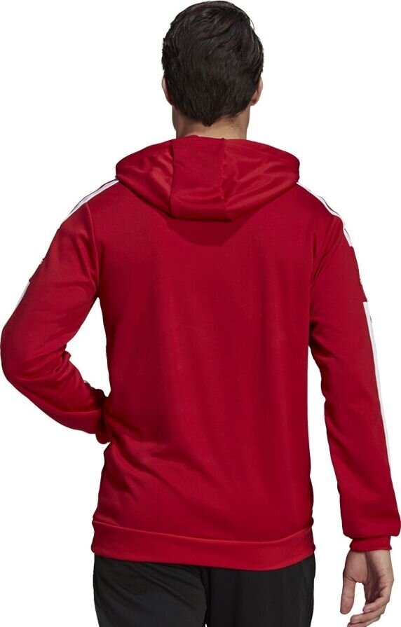 Vyriškas džemperis Adidas Squadra 21 raudonas GP6435 L kaina ir informacija | Futbolo apranga ir kitos prekės | pigu.lt