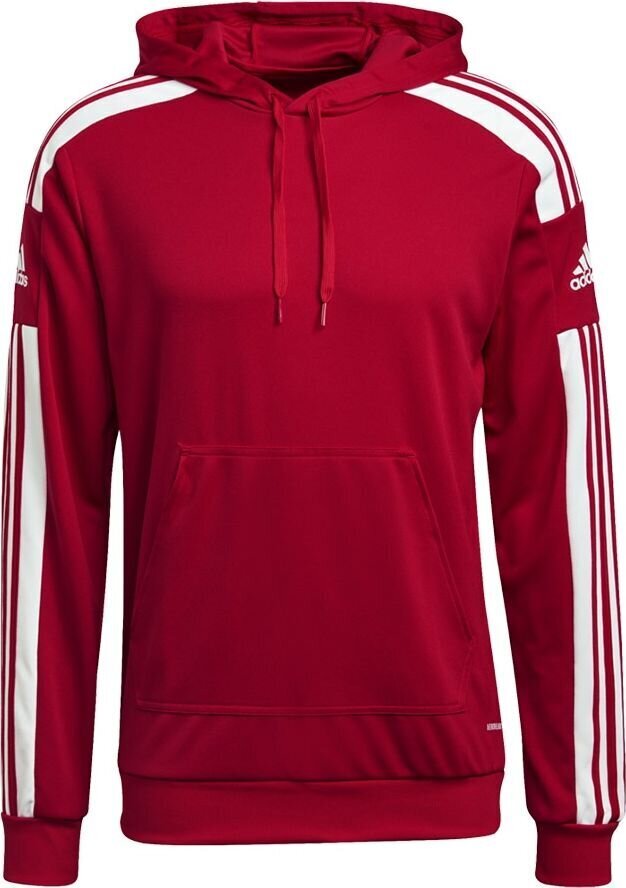 Vyriškas džemperis Adidas Squadra 21 raudonas GP6435 L kaina ir informacija | Futbolo apranga ir kitos prekės | pigu.lt