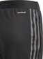 Vaikiškos sportinės kelnės Adidas TIRO 21 Training Pant Slim Junior GQ1242, juodos цена и информация | Futbolo apranga ir kitos prekės | pigu.lt