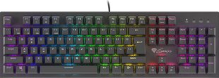 Игровая клавиатура Gaming Genesis THOR 300 RGB, чёрный цена и информация | Клавиатуры | pigu.lt