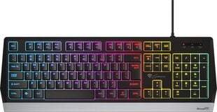 Игровая клавиатура Gaming Genesis RHOD 300 RGB, Чёрный цена и информация | Клавиатуры | pigu.lt