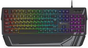 Genesis Rhod 350 RGB Gaming keyboard, RG цена и информация | Клавиатуры | pigu.lt