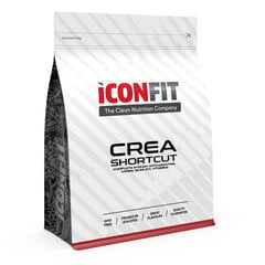 Iconfit Crea Shortcut Complex 1 кг (креатин, BCAA, энергия) цена и информация | Креатин | pigu.lt