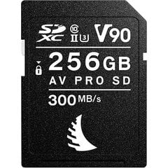 Angelbird AVP256SDMK2V90 цена и информация | Карты памяти для фотоаппаратов, камер | pigu.lt