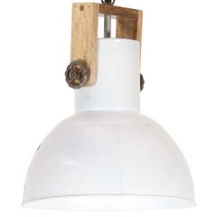 Pakabinamas šviestuvas, baltas, 32cm, 25W, apskritas, E27 цена и информация | Подвесной светильник | pigu.lt