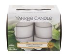 Kvapiosios arbatinės žvakės Yankee Candle Camellia Blossom 9,8 g, 12 vnt.