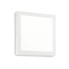 Lubinis-sieninis šviestuvas Universal D40 Square 240374 kaina ir informacija | Lubiniai šviestuvai | pigu.lt