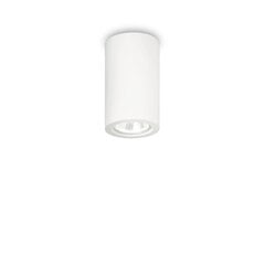 Потолочный светильник Pl1 Round 155869 цена и информация | Потолочные светильники | pigu.lt