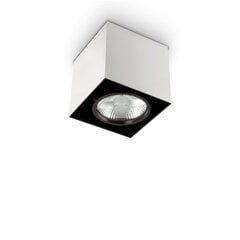 Потолочный светильник Mood Pl1 D15 Square Bianco 140933 цена и информация | Потолочные светильники | pigu.lt