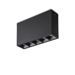 Потолочный светильник Lika 10W Surface Bk 244884 цена и информация | Потолочные светильники | pigu.lt