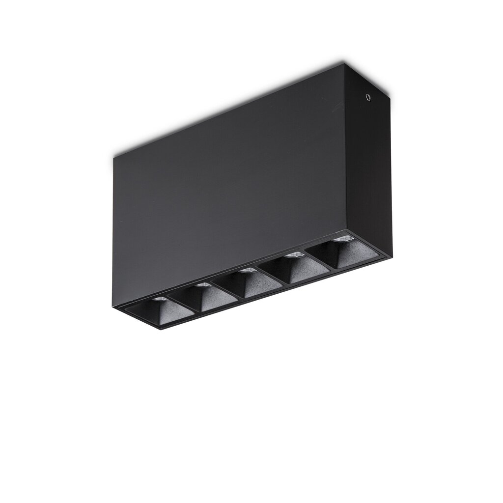 Lubinis šviestuvas Lika 10W Surface Bk 244884 цена и информация | Lubiniai šviestuvai | pigu.lt