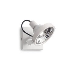Потолочно-настенный светильник Glim Pl1 Bianco 200194 цена и информация | Потолочные светильники | pigu.lt