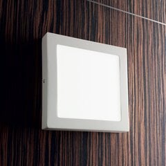 Ideal Lux šviestuvas Universal D22 Square 138640 kaina ir informacija | Lubiniai šviestuvai | pigu.lt