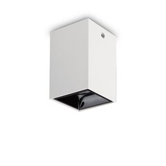 Lubinis šviestuvas Nitro 15W Square Bianco 206011 kaina ir informacija | Lubiniai šviestuvai | pigu.lt