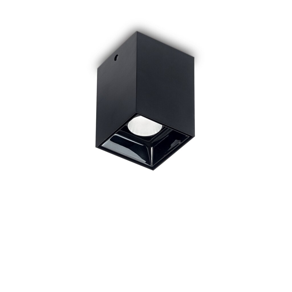 Lubinis šviestuvas Nitro 10W Square Nero 206042 цена и информация | Lubiniai šviestuvai | pigu.lt
