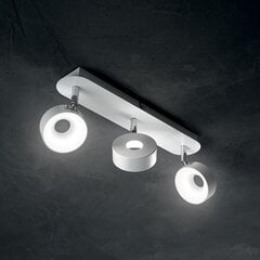 Настенный светильник Flash_AP1_Cromo цена и информация | Потолочные светильники | pigu.lt