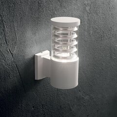 Ideal Lux šviestuvas Tronco Ap1 Bianco 118659 kaina ir informacija | Lauko šviestuvai | pigu.lt