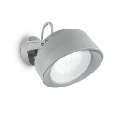 Настенный светильник Tommy Ap Grigio 4000K 145327 цена и информация | Уличные светильники | pigu.lt