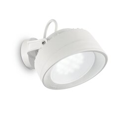 Ideal Lux šviestuvas Tommy Ap Bianco 4000K 145303 kaina ir informacija | Lauko šviestuvai | pigu.lt