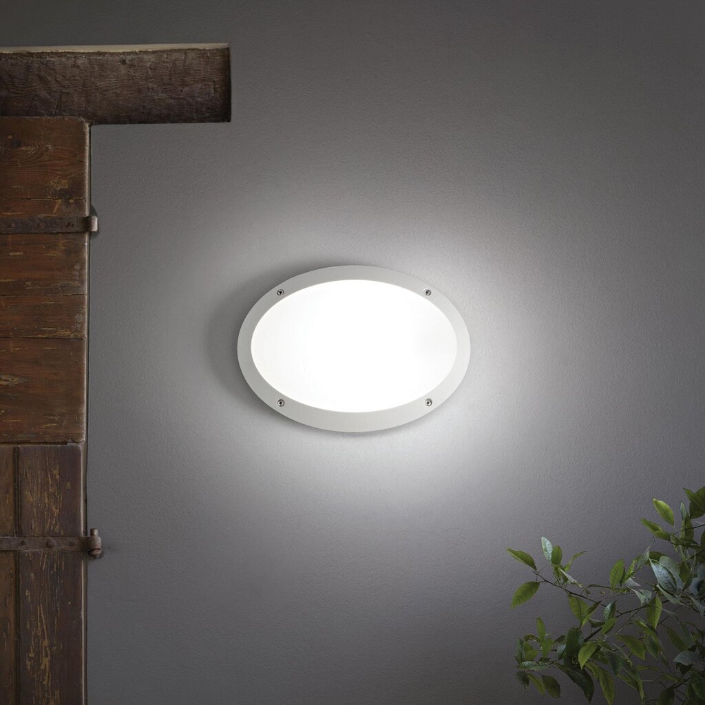 Ideal Lux šviestuvas Maddi-1 Ap1 Bianco 96711 kaina ir informacija | Lubiniai šviestuvai | pigu.lt