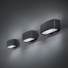 Ideal Lux šviestuvas Andromeda Ap1 Antracite 61580 цена и информация | Настенные светильники | pigu.lt