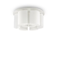 Lubinis šviestuvas Almond Pl9 159645 kaina ir informacija | Lubiniai šviestuvai | pigu.lt