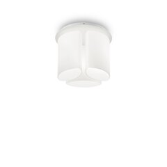 Lubinis šviestuvas Almond Pl3 159638 kaina ir informacija | Lubiniai šviestuvai | pigu.lt