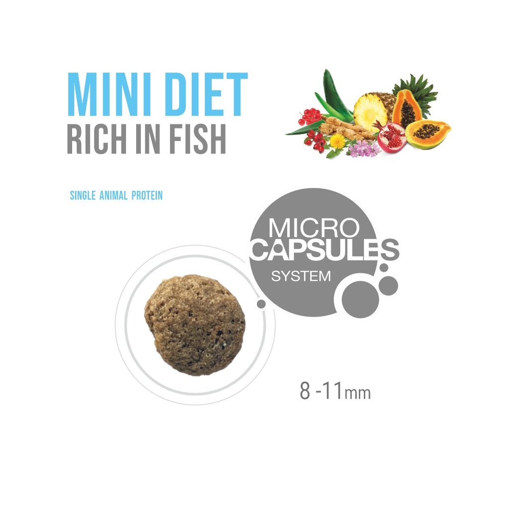Forza10 Mini Diet mažų veislių alergiškiems šunims, su žuvimi, 1,5 kg цена и информация | Sausas maistas šunims | pigu.lt