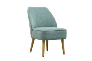 Кресло Lauksva Ulde 1, светло-синее цена и информация | Кресла в гостиную | pigu.lt