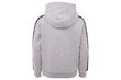 Džemperis vyrams Kappa Igon Sweatshirt 309043-15-4101M, pilkas цена и информация | Džemperiai vyrams | pigu.lt