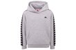 Džemperis vyrams Kappa Igon Sweatshirt 309043-15-4101M, pilkas цена и информация | Džemperiai vyrams | pigu.lt