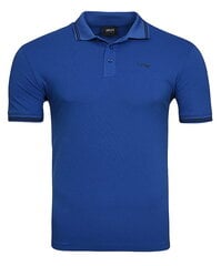 Мужская рубашка - поло Armani Jeans 8N6F30-6JPTZ цена и информация | Футболка мужская | pigu.lt