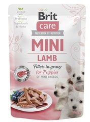 Brit Care Mini pouch Lamb fillets in gravy влажный корм для щенков 85г цена и информация | Консервы для собак | pigu.lt