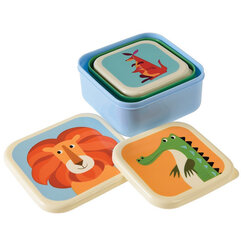Комплект коробочек для ланча Rex London Colourful Creatures цена и информация | Посуда для хранения еды | pigu.lt