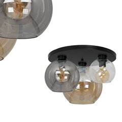 Milagro потолочный светильник Sofia Mix цена и информация | Потолочные светильники | pigu.lt