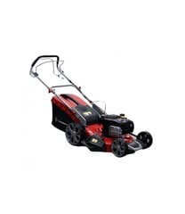 Бензиновая газонокосилка Tamerpro 150 куб.см с двигателем BRIGGS - STRATTON цена и информация | Газонокосилки | pigu.lt