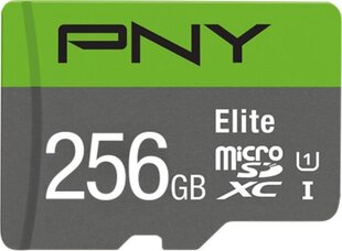 PNY P-SDU256V11100EL-GE цена и информация | Карты памяти для телефонов | pigu.lt