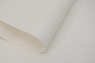 Sieninis roletas su audiniu Dekor 120x170 cm, d-01 balta kaina ir informacija | Roletai | pigu.lt