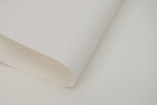 Sieninis roletas su audiniu Dekor 160x170 cm, d-01 balta kaina ir informacija | Roletai | pigu.lt