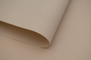 Sieninis roletas su audiniu Dekor 120x170 cm, d-20 smėlio цена и информация | Рулонные шторы | pigu.lt