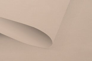 Šviesos nepraleidžiantis sieninis roletas Blackout 220x170 cm, pg-12 smėlio цена и информация | Рулонные шторы | pigu.lt